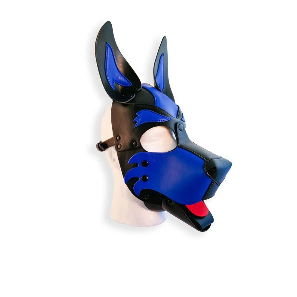 Brutus Pup Hood Vegan Leather Blue & Black