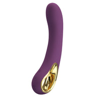 Pretty Love Ethan Rechargeable Curved Vibrator Purple