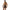 Envy Stealth Sling Bodysuit Black One Size