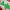 Gift Republic Christmas Charades Card Game