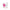 Me You Us Signature The Panty Vibrator Pink