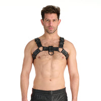 Prowler RED Leather Bull Harness With Metal Fittings Black