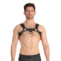 Prowler RED Leather Noir Harness Black