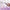 Womanizer Pro Clitoral Stimulator Lilac