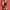 Kingspearl Rosy Bodystocking With Choker Black One Size