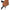 Fantasy X-Tensions Elite Vibrating Dual Density Silicone Hollow Strap On Brown 6 Inch