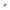 We-Vibe Sync Lite Couples Vibrator Pink